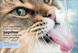 Cats: Facts at Your Fingertips - Retail Maharaj