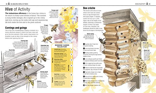 The Bee Book: The Wonder of Bees – How to Protect them – Beekeeping Know-how - Retail Maharaj