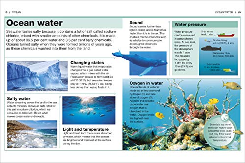 Ocean: Facts at Your Fingertips (Pocket Eyewitness) - Retail Maharaj