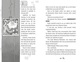 Aldrin Adams and the Cheese Nightmares (Aldrin Adams Adventure, 1) - Retail Maharaj