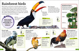 DKfindout! Birds - Retail Maharaj
