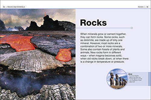 Pocket Eyewitness Rocks and Minerals - Retail Maharaj