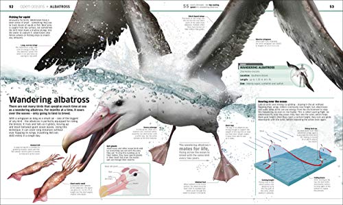 Knowledge Encyclopedia: Ocean! Our Watery World As You've Never Seen It Before - Retail Maharaj