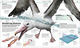 Knowledge Encyclopedia: Ocean! Our Watery World As You've Never Seen It Before - Retail Maharaj
