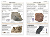 Fossils (DK Handbooks) - Retail Maharaj