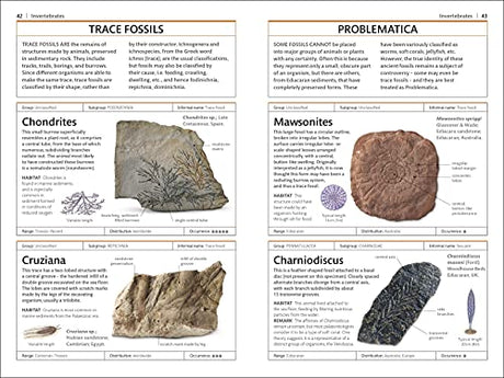 Fossils (DK Handbooks) - Retail Maharaj