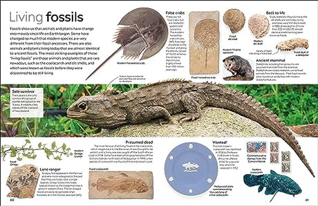 Fossil (Eyewitness) (DK Eyewitness) - Retail Maharaj