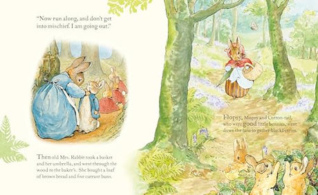 Peter Rabbit: Book and Toy Gift Set: The perfect present for babies and toddlers - Retail Maharaj