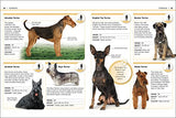 Pocket Eyewitness Dogs - Retail Maharaj