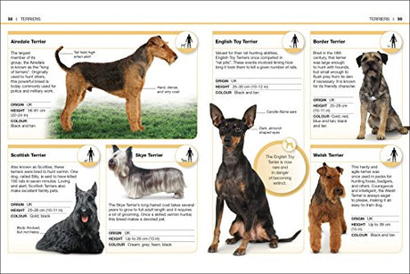 Pocket Eyewitness Dogs - Retail Maharaj