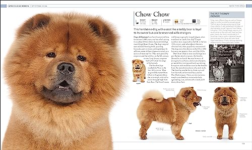 The Dog Encyclopedia: The Definitive Visual Guide - Retail Maharaj