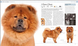 The Dog Encyclopedia: The Definitive Visual Guide - Retail Maharaj