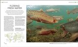 Habitats: Discover Earth's Precious Wild Places - Retail Maharaj