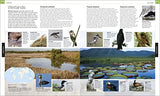 Bird: The Definitive Visual Guide - Retail Maharaj