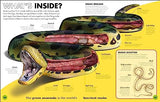Everything You Need to Know About Snakes: And Other Scaly Reptiles - Retail Maharaj