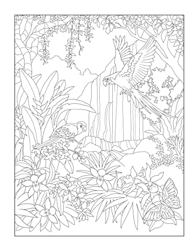 Creative Haven Tropical Wonders Coloring Book - Retail Maharaj