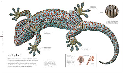 The Science of Animals - Retail Maharaj