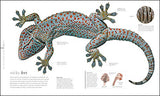 The Science of Animals - Retail Maharaj