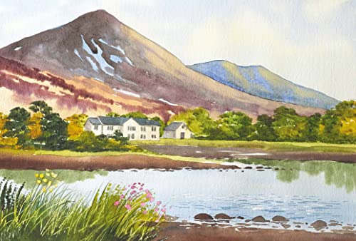 Ready to Paint with Terry Harrison: Watercolour Techniques, Tips and Projects for the Complete Beginner - Retail Maharaj