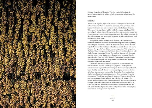 Vino: The Essential Guide to Real Italian Wine - Retail Maharaj