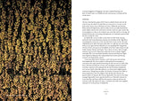 Vino: The Essential Guide to Real Italian Wine - Retail Maharaj