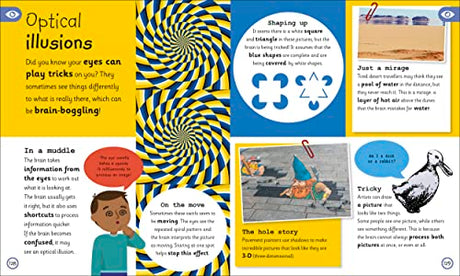 My Very Important Human Body Encyclopedia: For Little Learners Who Want to Know About Their Bodies - Retail Maharaj