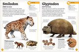 My Book of Dinosaurs and Prehistoric Life: Animals and plants to amaze, surprise, and astonish! - Retail Maharaj