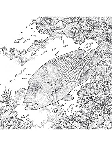 Fragile World - Retail Maharaj