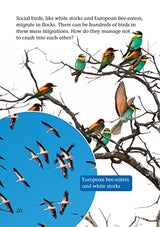 Migration Mysteries: Band 11+/Lime Plus (Collins Big Cat) - Retail Maharaj