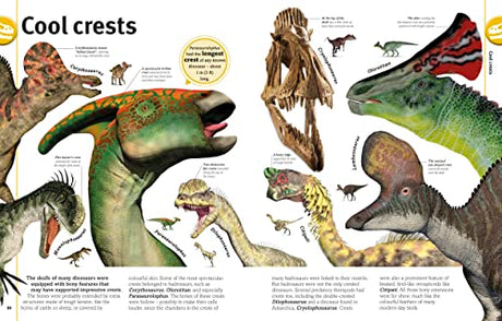 The Dinosaur Book: Our World in Pictures - Retail Maharaj