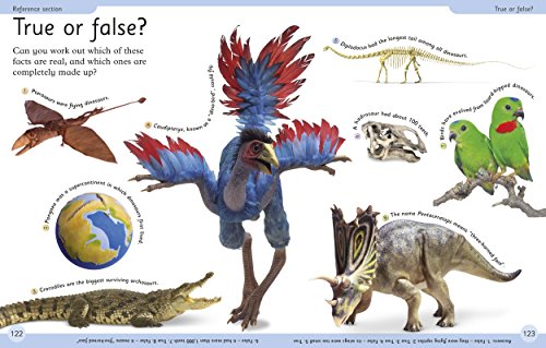 First Dinosaur Encyclopedia - Retail Maharaj