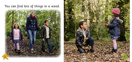 Art in the Woods: Band 02b/Red B (Collins Big Cat) - Retail Maharaj