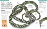 Snake: The Essential Visual Guide - Retail Maharaj