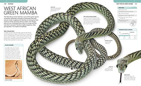 Snake: The Essential Visual Guide - Retail Maharaj