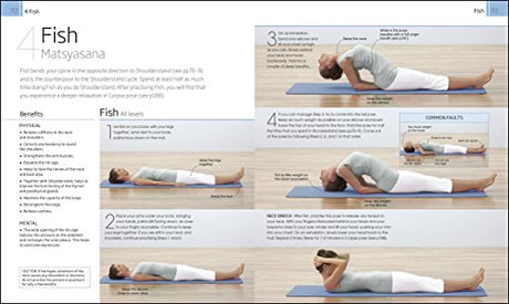 Yoga Your Home Practice Companion - Retail Maharaj