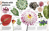 Trees, Leaves, Flowers & Seeds - Retail Maharaj