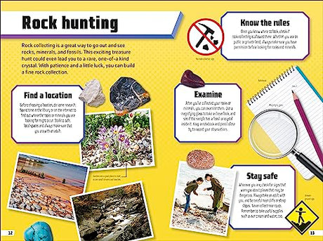 Rocks and Minerals Ultimate Handbook: The Need-to-Know Facts and Stats on More Than 200 Rocks and Minerals - Retail Maharaj