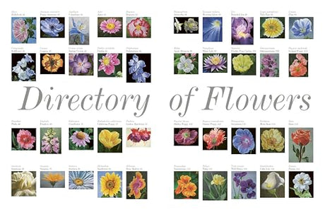 ACRYLIC FLOWER PAINTERS A TO Z - Retail Maharaj