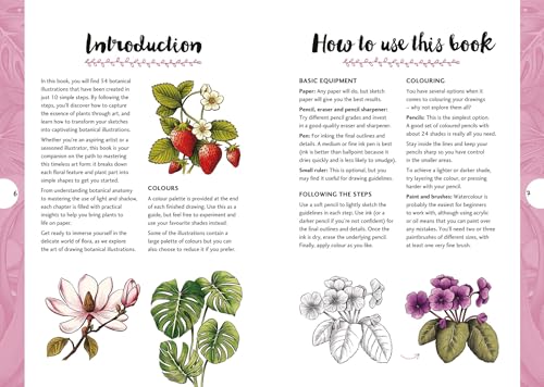 Botanicals: Draw over 50 Plants in 10 Easy Steps (10 Step Drawing) - Retail Maharaj
