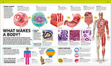 Knowledge Encyclopedia: Human Body!: Your Amazing Body As You've Never Seen It Before - Retail Maharaj