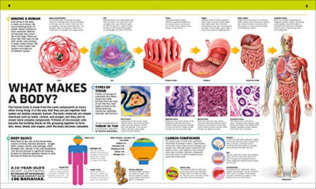 Knowledge Encyclopedia: Human Body!: Your Amazing Body As You've Never Seen It Before - Retail Maharaj
