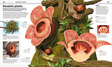 Knowledge Encyclopedia Plants and Fungi!: Our Growing World as You've Never Seen It Before - Retail Maharaj