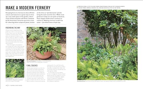 Grow Shade Garden: Essential Know-how and Expert Advice for Gardening Success - Retail Maharaj