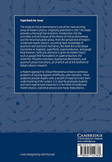 A Modern Approach to Critical Phenomena - Retail Maharaj