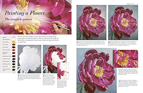 ACRYLIC FLOWER PAINTERS A TO Z - Retail Maharaj