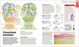 How the Brain Works: The Facts Visually Explained (How Things Work) - Retail Maharaj