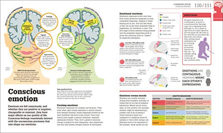 How the Brain Works: The Facts Visually Explained (How Things Work) - Retail Maharaj