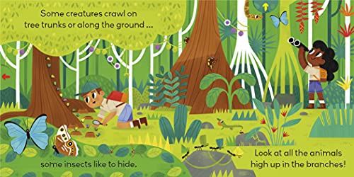 Little World: Jungle Journey: A push-and-pull adventure - Retail Maharaj