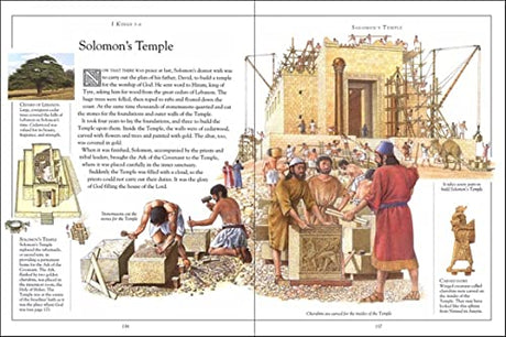 The Children's Pocket Bible - Retail Maharaj