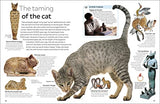 Cat (eyewitness) (DK Eyewitness) - Retail Maharaj